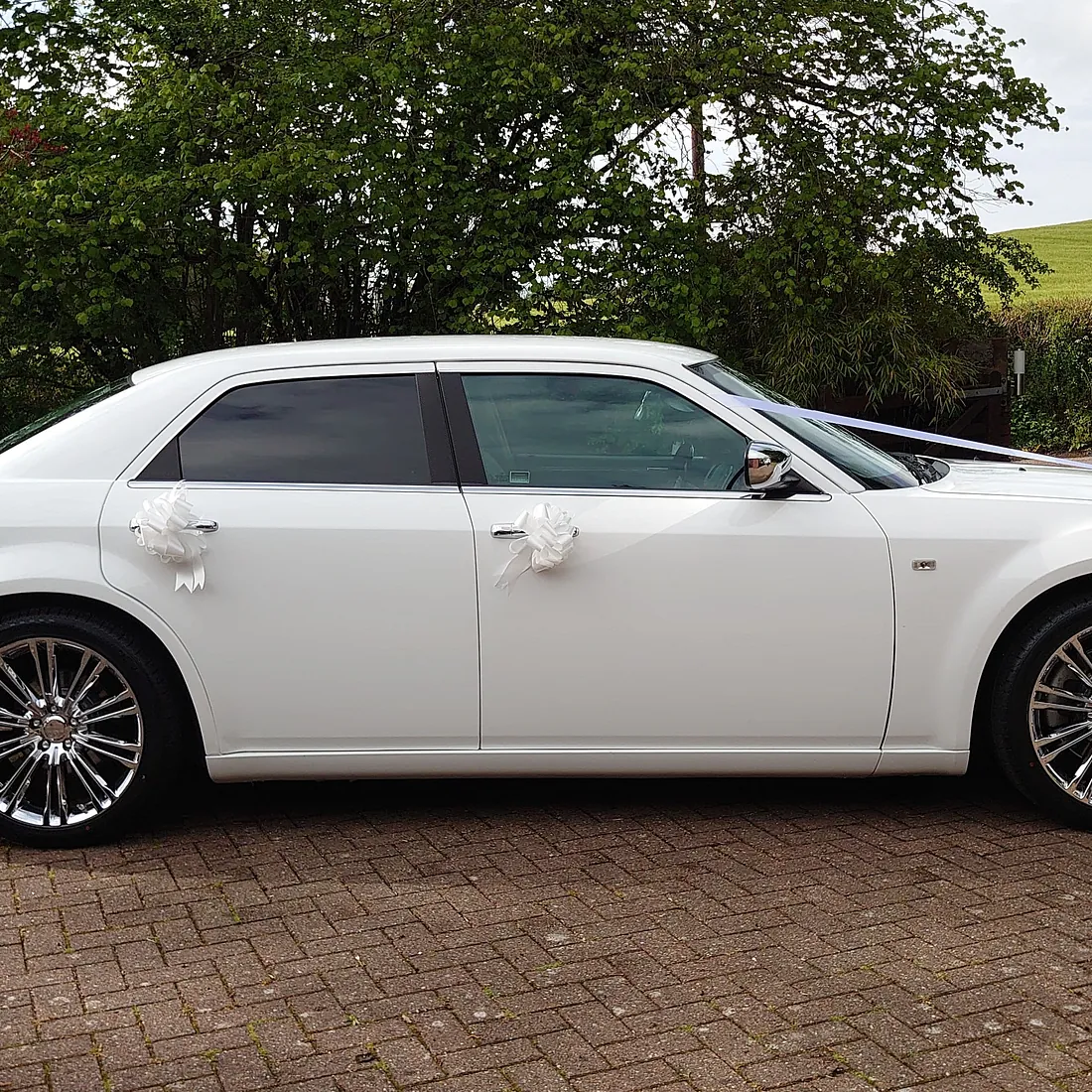 white baby bentley